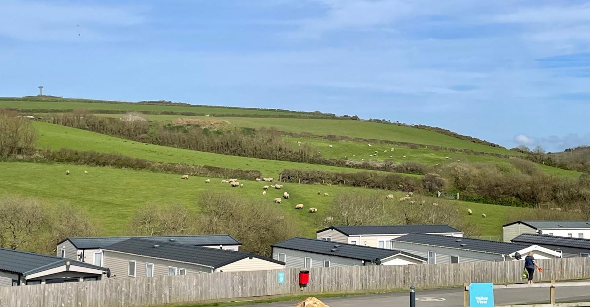 Newquay Bay Resort Sandy Toes - Pet Friendly Exteriör bild